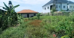 A full plot of land with 3 bedroom bungalow